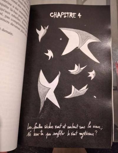 Illustration roman "Plus que les étoiles"
